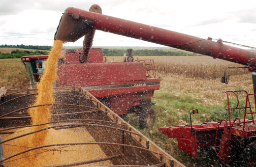 Maior parte dos recursos contabilizados pelo BNDES para agro são do Plano Safra/Safrinha 2023/2024 - Foto: Arquivo/Agência Brasil