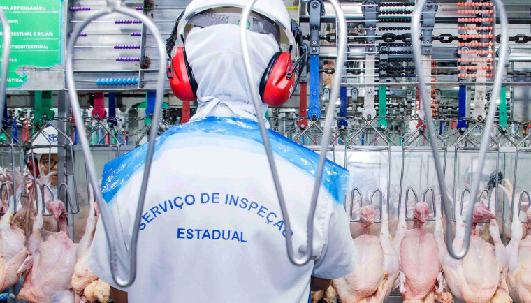 Aumenta casos de gripe aviária no Brasil e Tocantins adota medidas como prevenção
