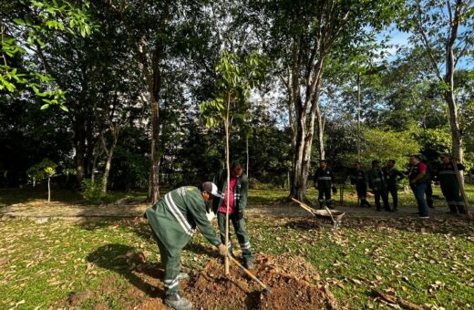 Projeto sobre demarcação da Área de Proteção Ambiental (APA) deve retornar à CMM - Foto: Divulgação/Semmas