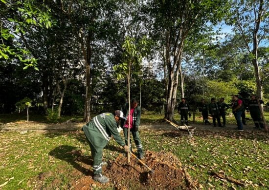 Projeto sobre demarcação da Área de Proteção Ambiental (APA) deve retornar à CMM - Foto: Divulgação/Semmas