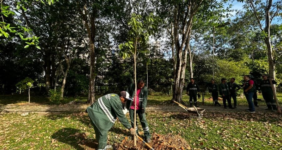 Projeto sobre demarcação da Área de Proteção Ambiental (APA) deve retornar à CMM - Foto: Divulgação/Semmas