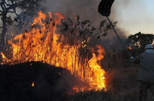 Aumenta em 96% o número de queimadas em Roraima, aponta Monitor do Fogo