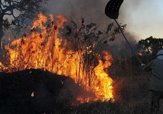 Aumenta em 96% o número de queimadas em Roraima, aponta Monitor do Fogo