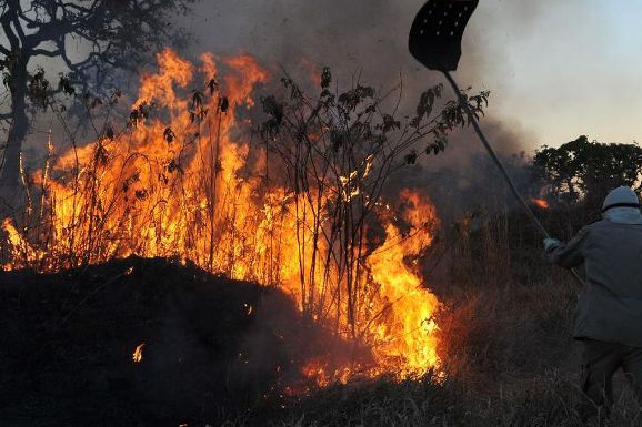 Aumenta em 96% o número de queimadas em Roraima, aponta Monitor do Fogo