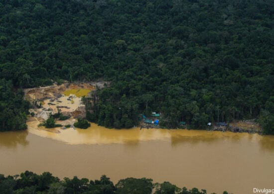 Corpos de garimpeiros mortos na Terra Yanomami começam ser resgatados em RR