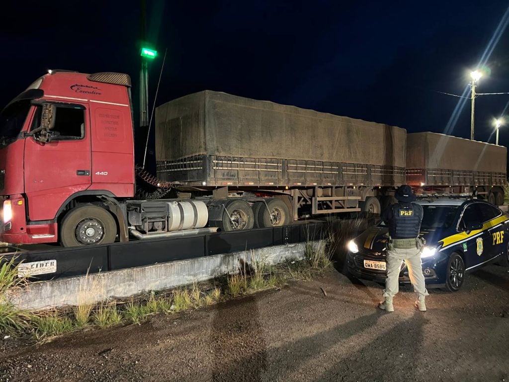 A madeira foi encaminhada para os órgãos ambientais competentes