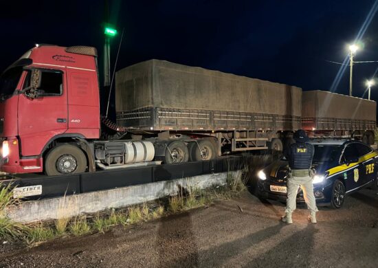 A madeira foi encaminhada para os órgãos ambientais competentes