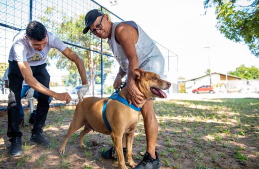 Campanha de Vacinação Antirrábica inicia nesse sábado, 5, em Boa Vista