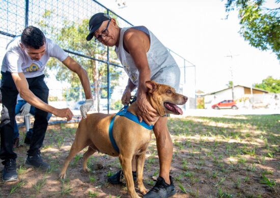 Campanha de Vacinação Antirrábica inicia nesse sábado, 5, em Boa Vista