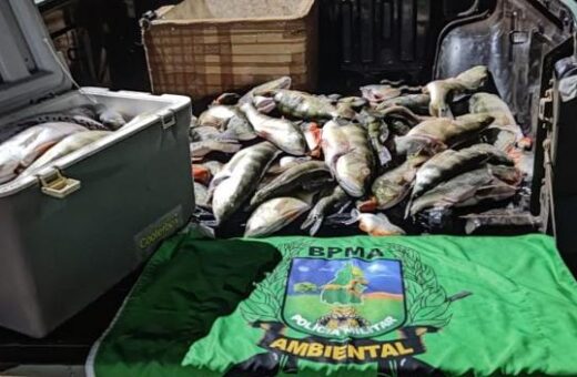 98Kg de pescado ilegal são apreendidos pela PM