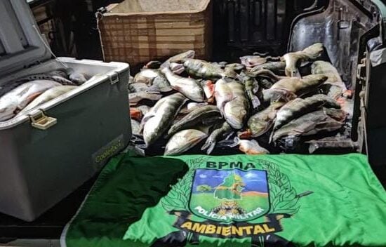 98Kg de pescado ilegal são apreendidos pela PM