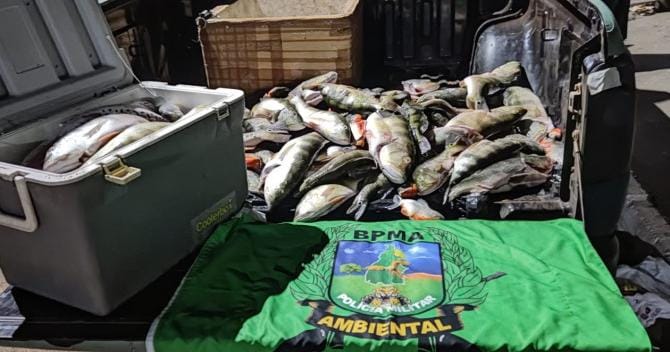 98Kg de pescado ilegal são apreendidos pela PM