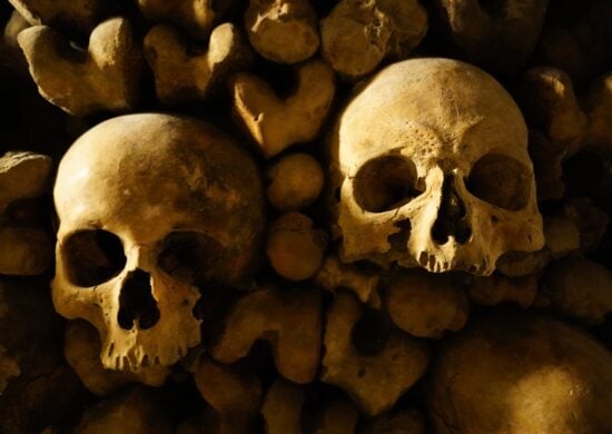 Cientistas descobrem crânio de hominídeo de linhagem humana desconhecida