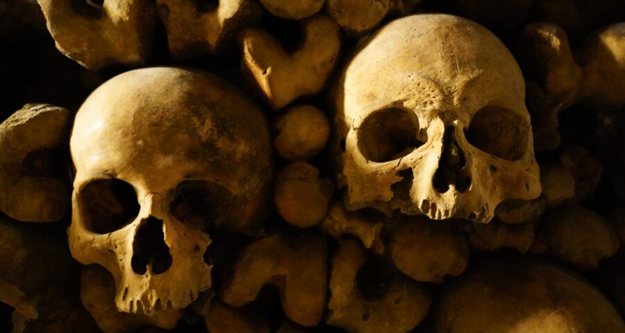 Cientistas descobrem crânio de hominídeo de linhagem humana desconhecida