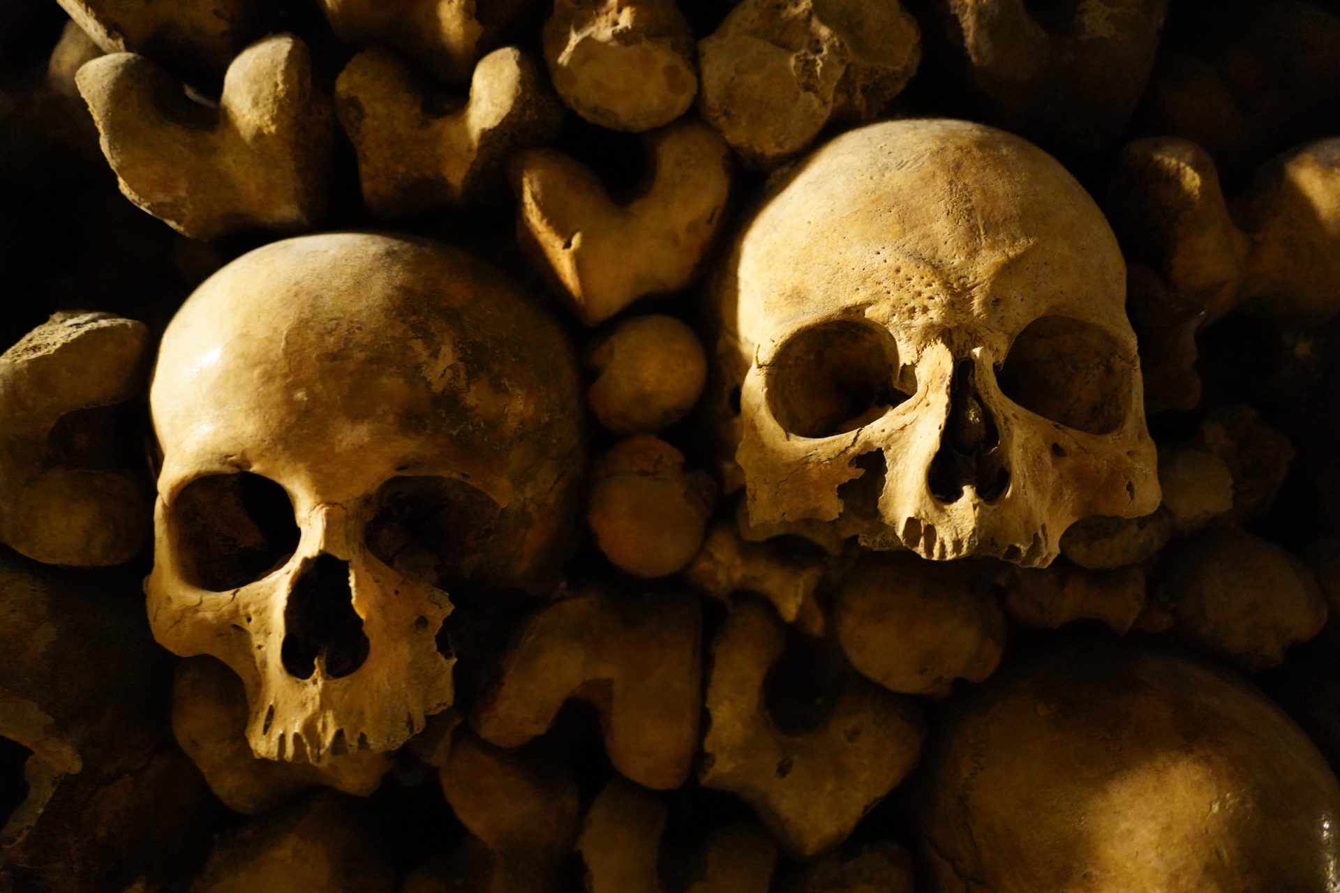 Cientistas descobrem crânio de hominídeo de linhagem humana desconhecida
