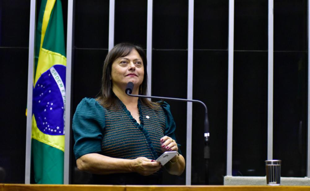 Deputada Alice Portugal, relatora da MP