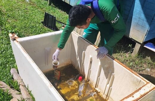 Chikungunya, Zika e Dengue são transmitidas pelo mesmo vetor - Foto: Divulgação/FVS-RCP