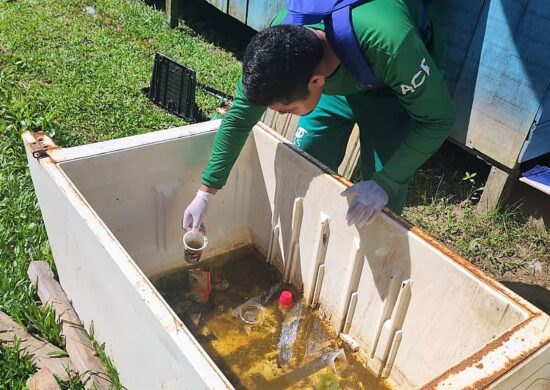 Chikungunya, Zika e Dengue são transmitidas pelo mesmo vetor - Foto: Divulgação/FVS-RCP