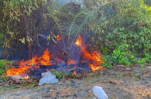 Postos da corporação em municípios da região metropolitana também atenderam 21 Incêndios em áreas de vegetação - Foto: Divulgação/CBMAM