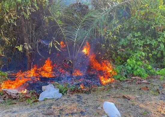 Postos da corporação em municípios da região metropolitana também atenderam 21 Incêndios em áreas de vegetação - Foto: Divulgação/CBMAM