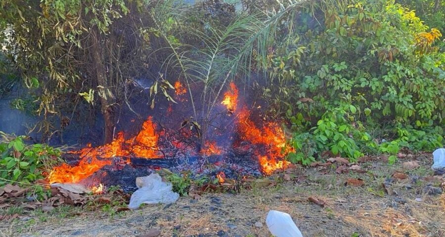 Postos da corporação em municípios da região metropolitana também atenderam 21 Incêndios em áreas de vegetação - Foto: Divulgação/CBMAM