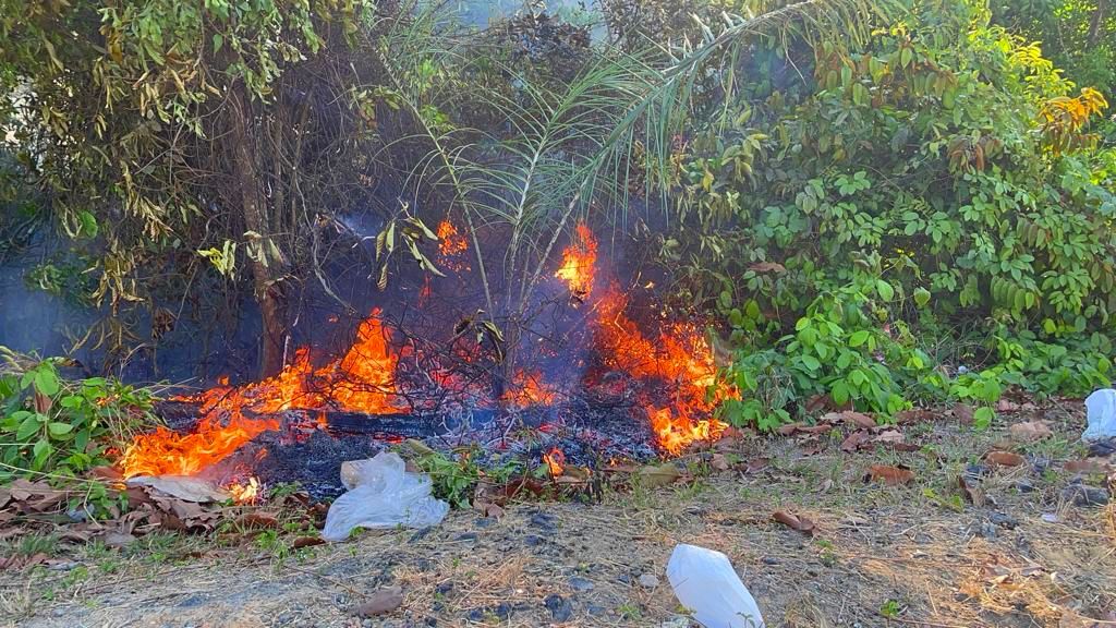 Postos da corporação em municípios da região metropolitana também atenderam 21 Incêndios em áreas de vegetação - Foto: Divulgação/CBMAM