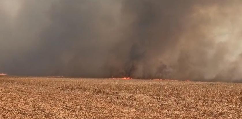 Funcionários da fazenda tentaram combater as chamas, mas não conseguiram, pois estava descontrolado