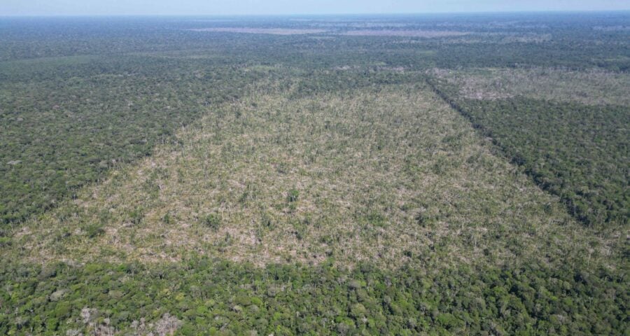 Dados sobre desmatamento no Amazonas são apurados por sistema do Inpe e analisados pela Sema - Foto: Divulgação/Sema