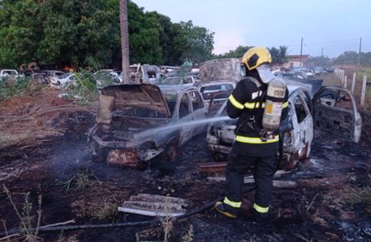 Os quatros carros pegaram fogo, após atearem fogo na vegetação próxima aos veículos