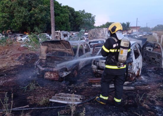 Os quatros carros pegaram fogo, após atearem fogo na vegetação próxima aos veículos