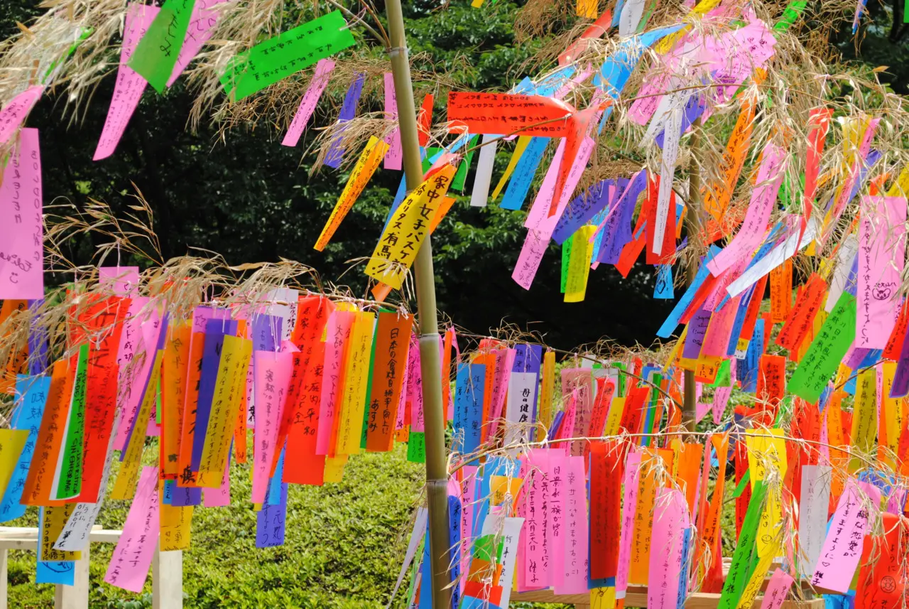 Tanabata Matsuri     Pedidos pendurados no Bambu - Foto: Kotobá/Arquivo