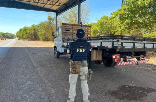 Em Palmeiras do Tocantins foi abordado um caminhão Mbenz/710 com restrição de furto - Foto: Divulgação/PRF TO