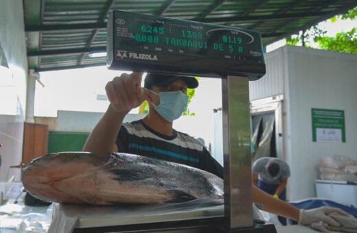 Tambaqui ofertado em feira tem origem no manejo sustentável - Foto: Divulgação/FAS