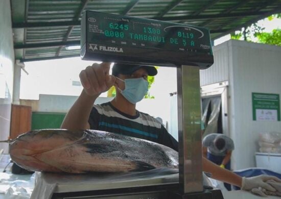 Tambaqui ofertado em feira tem origem no manejo sustentável - Foto: Divulgação/FAS