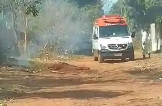 Idoso foi atacado por abelhas quando estacionou carro perto de árvore - Foto: Reprodução/WhatsApp