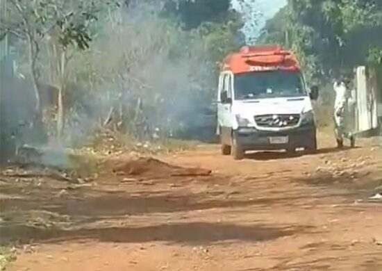 Idoso foi atacado por abelhas quando estacionou carro perto de árvore - Foto: Reprodução/WhatsApp