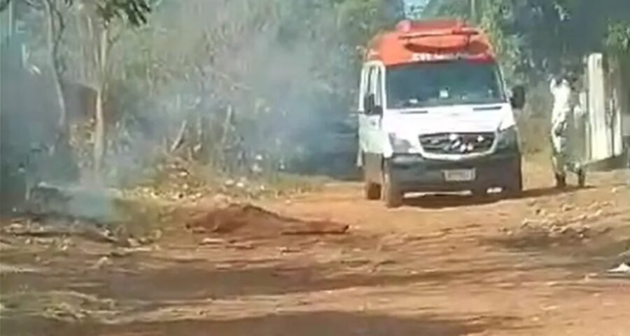 Idoso foi atacado por abelhas quando estacionou carro perto de árvore - Foto: Reprodução/WhatsApp