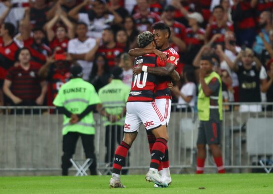 Gabigol e Bruno Henrique comemoram o gol da vitória - Foto: Gilvan de Souza/CRF/divulgação