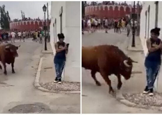 Jovem estava de costa para o touro - Foto: Reprodução/Vídeo