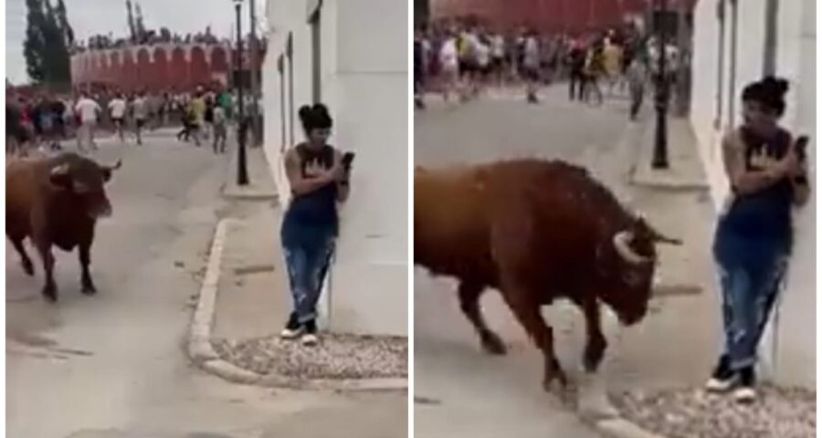 Jovem estava de costa para o touro - Foto: Reprodução/Vídeo