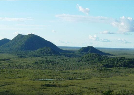 Lula homologa atos para proteção de florestas em Roraima - Foto: Reprodução/Facebook Parque Nacional do Viruá