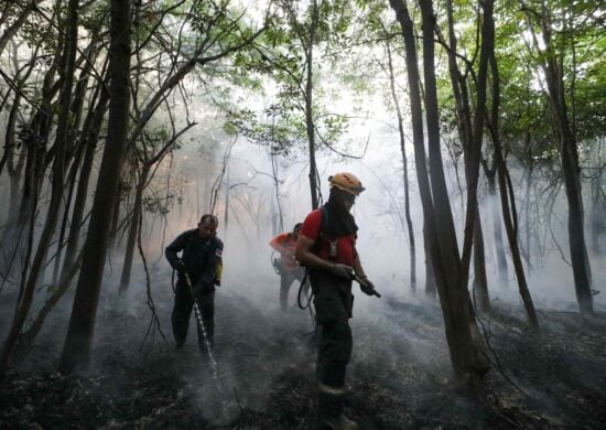 Ações de combate às chamas são realizadas em nove municípios do interior do estado