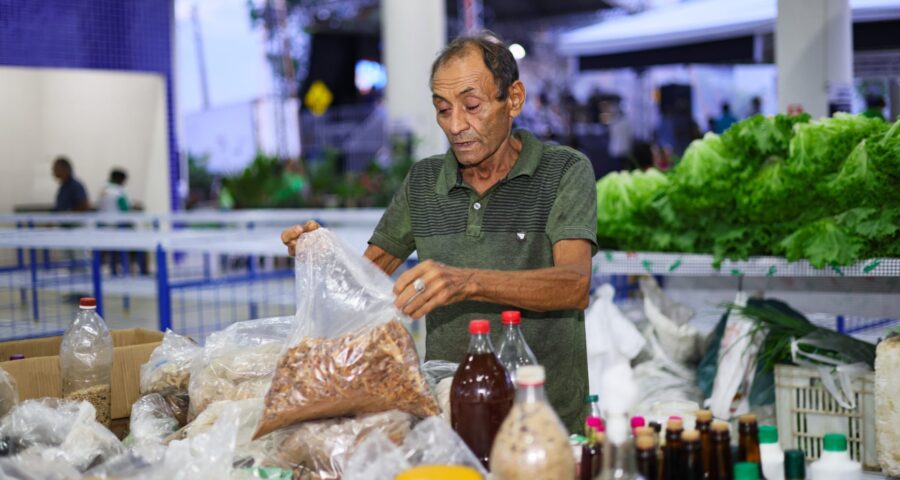 Microempresários e ambulantes movimentam R$ 25,5 milhões na economia de Palmas-TO