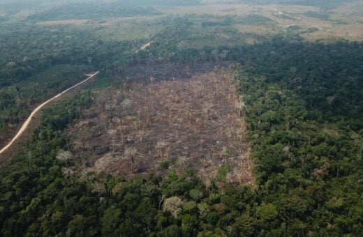 AGU acionou a Justiça para cobrar R$ 292 milhões de um pecuarista para garantir a compensação financeira por danos climáticos na Amazônia -Foto: Op Verde Brasil/Agência Brasil