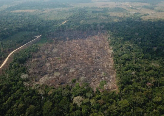 AGU acionou a Justiça para cobrar R$ 292 milhões de um pecuarista para garantir a compensação financeira por danos climáticos na Amazônia -Foto: Op Verde Brasil/Agência Brasil