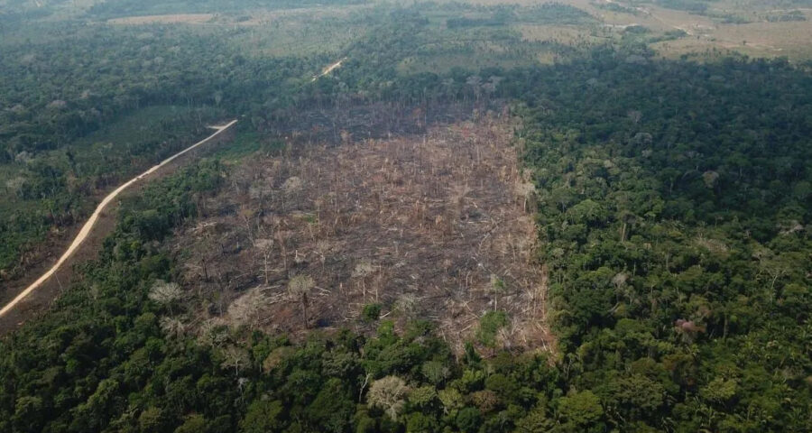 AGU acionou a Justiça para cobrar R$ 292 milhões de um pecuarista para garantir a compensação financeira por danos climáticos na Amazônia -Foto: Op Verde Brasil/Agência Brasil