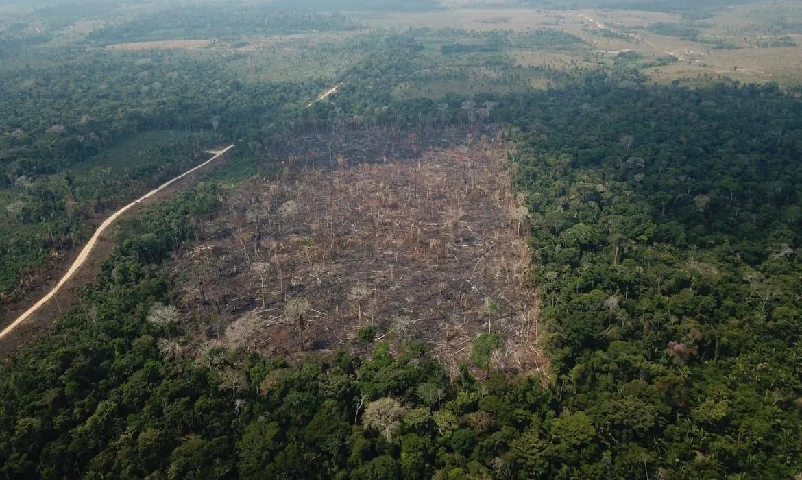 AGU acionou a Justiça para cobrar R$ 292 milhões de um pecuarista para garantir a compensação financeira por danos climáticos na Amazônia -Foto: Op Verde Brasil/Agência Brasil