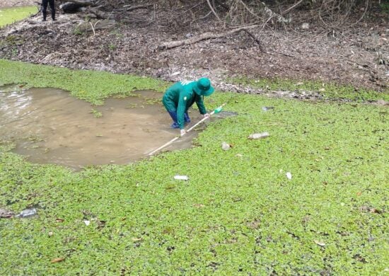 Amazonas registra queda de apenas 5,6% em casos de malária em 2023