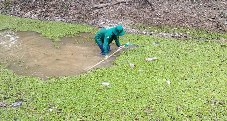 Amazonas registra queda de apenas 5,6% em casos de malária em 2023