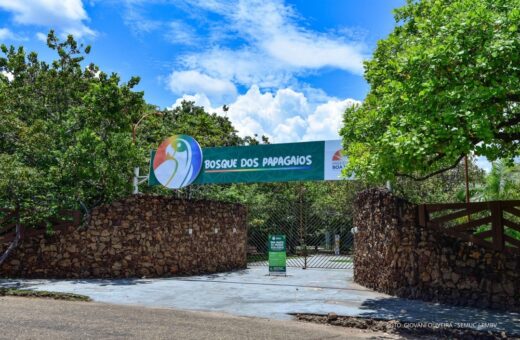 Bosque dos Papagaios em Boa Vista foto PMBV